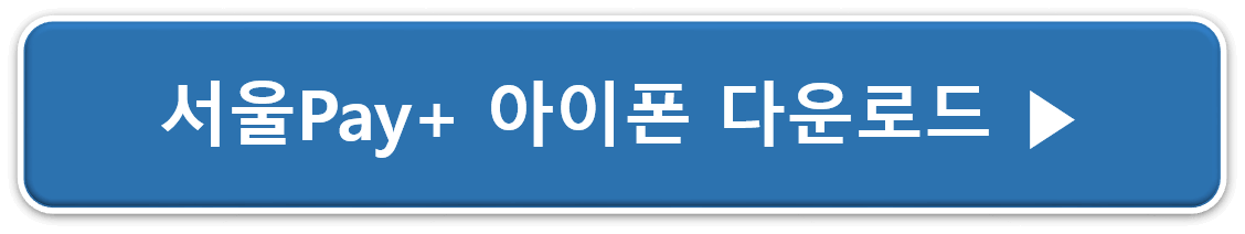 서울페이앱